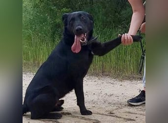 Cody-VA charmanter Mann möchte Küsschen geben