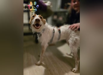 Lilo, einfach zum verlieben
