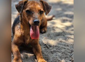 Ruhie Seele sucht die Nadel im Heuhaufen