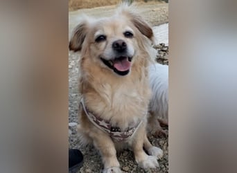 Luna, hofft auf ihre 2. Chance