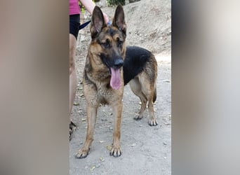 Kira wünscht sich eine liebvolle Familie
