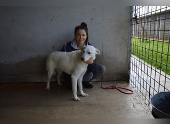 Dafnielle - Zukunft gesucht