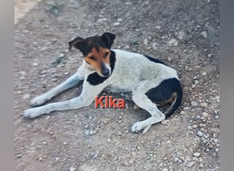 KIKA