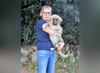Valyssa - eine kleine Schönheit wartet...