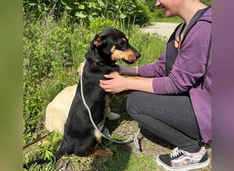 Kenby ein fröhlicher freundlicher Bub