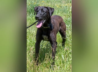 Jack - ein aktiver Junge