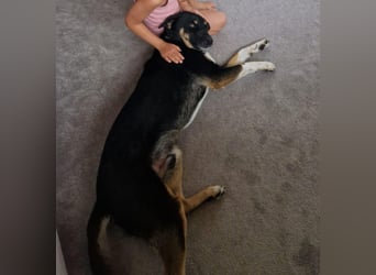 Jerry ist mein Name – und warte in PLZ 69509 auf Besuch von DIR