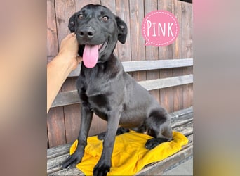 Pink ein selbstbewusstes Mädchen