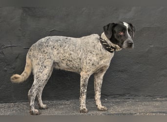 Zeigen Sie Dotty ein Leben inmitten einer Familie?