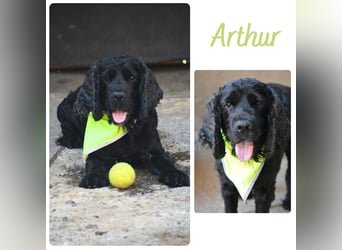 Arthur