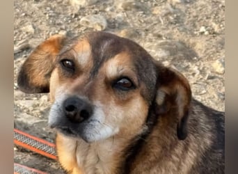 Lana - ist so verloren im Shelter