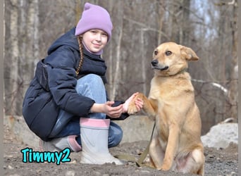Timmy2 geb. 03/2023 - verspielter, aktiver und fröhlicher junger Rüde!