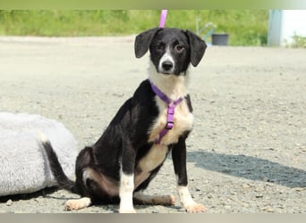 Hazel sucht ihre Lieblingsmenschen