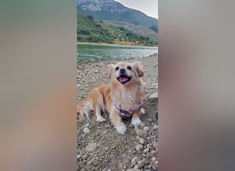 Luna, hofft auf ihre 2. Chance