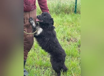 Zoya, geboren 25.09.2024, 40cm sucht ihr Zuhause
