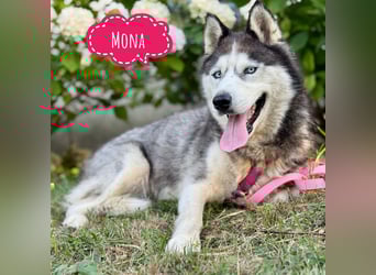 Mona die wundervolle