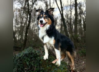 Ivy - liebevolle Einzelprinzessin