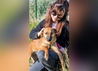 Pepper – ein kleines Sensibelchen