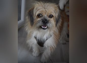 Lana ein winziger Schatz