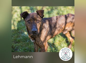 Lehmann: erzählt seine Geschichte