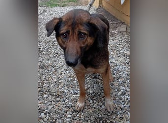 Priya: Schenke mir Liebe!