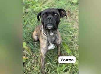 Youma: „Wo sind meine Menschen?“