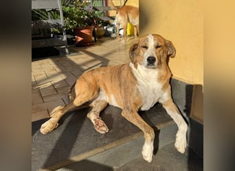 Lea - liebenswürdiges Mädchen sucht sicheren Hafen