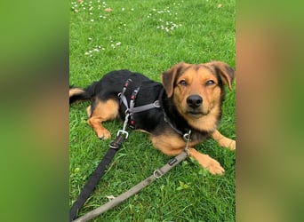 Sonnenschein Aiko wünscht sich seine Menschen