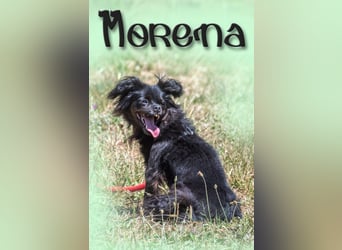 Morena - fit und munter