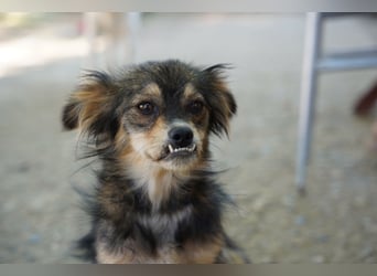 Bubu – kleiner Schatz mit großem Herzen