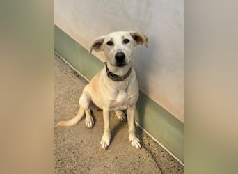 Lilly – sensibel, aktiv, besonders. Wer gibt ihr diesmal die richtige Chance?