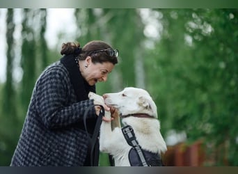 Wunderschöne BJANKA sucht ein für-immer-Zuhause