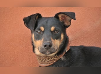 Zeigen Sie Pako, dass das Warten nicht umsonst gewesen ist?