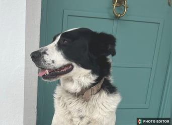 Frodo, ein Teddybär sucht seine Familie, PS in 86701 Rohrenfels