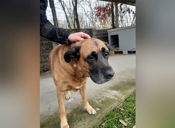 Zora sucht ein Zuhause