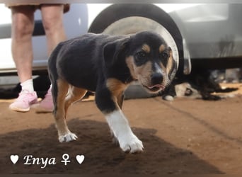 Jackie/Enya sucht ihre Familie ab Oktober