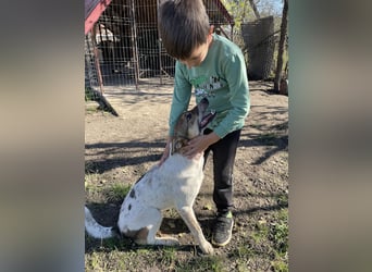 Aufgeschlossene Freya sucht liebe Familie