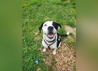 Amara sucht geduldiges Traumzuhause