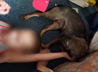 Offene, kinderliebe Eli sucht liebevolles Zuhause