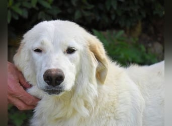 Kandie - kleines Mädchen mit großen Plänen