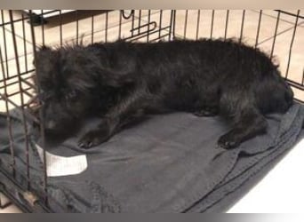 Update Lara: reserviert