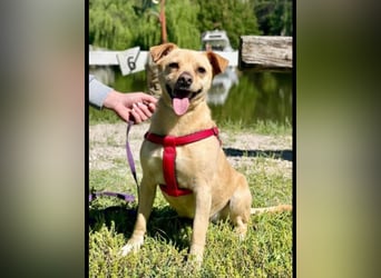 Winnie Piccolo: kleiner Charmeur sucht Dich