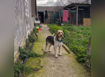 Elly - HAT  INTERESSENTEN- vorsictige Prinzessin sucht ihre erfahrenen Menschen mit Geduld und Liebe