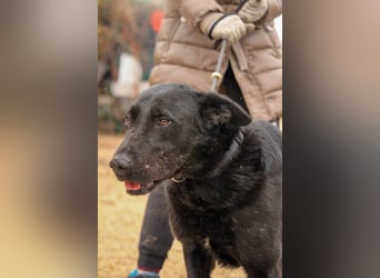 Cody-VA charmanter Mann möchte Küsschen geben