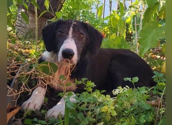 ♥Mona♥ verkuschelte Genießerschnute