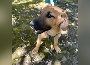 Nina ein kleiner Engelchen