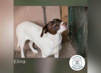 Elina: Zarte Sanftheit