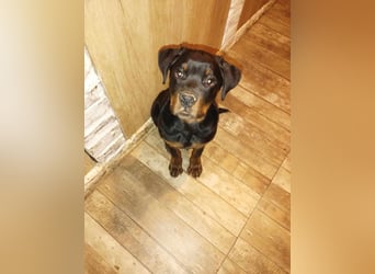 Axel, sucht eine aktive Familie….