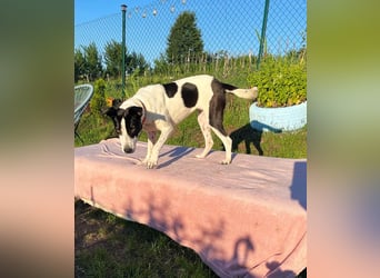 Hübsche Iris sucht liebe Familie