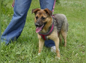 Liebe Ruby sucht eine neue Bleibe
